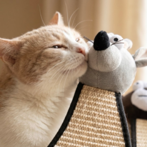 Mouse Scratch and Play Instinct Pad