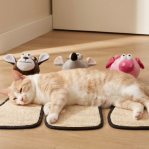 Piggy Scratch and Play Instinct Pad
